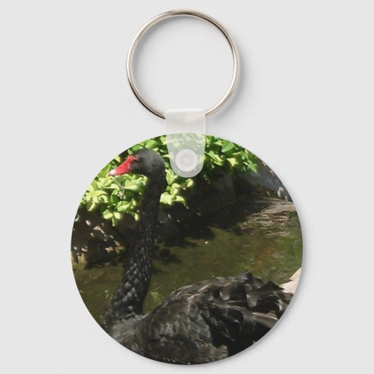 Schwarzer Schwan Schlüsselanhänger (Vorderseite)