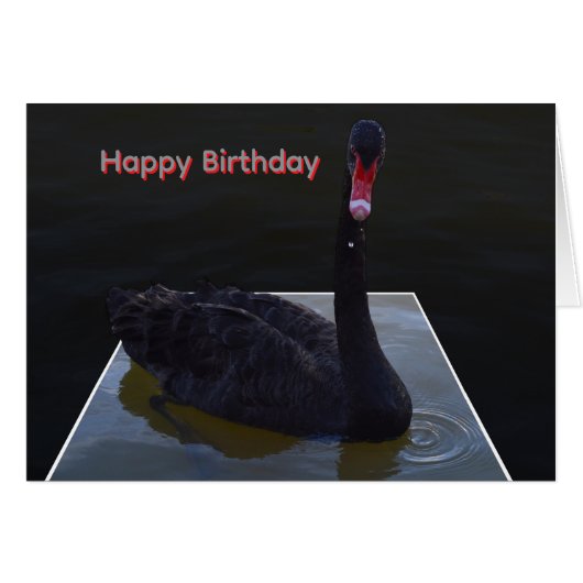 Schwarzer Schwan schwimmt im dimensionalen Teich, (Vorderseite (Horizontal))