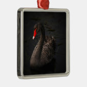 Schwarzer Schwan Silbernes Ornament (Rechts)
