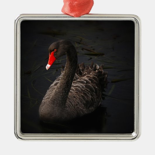 Schwarzer Schwan Silbernes Ornament (Vorne)