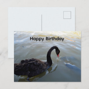 Schwarzer Schwan und großer Fisch, Geburtstagspost Postkarte
