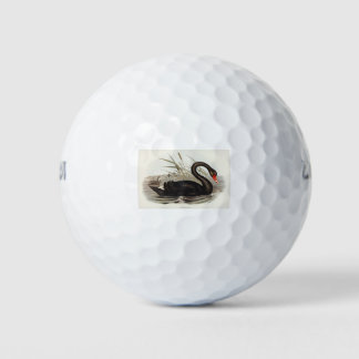 Schwarzer Schwan Vintag Golfball