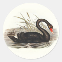 Schwarzer Schwan Vintage