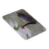 Schwarzer Schwanz-3"x4"-Magnet Magnet (Rechte Seite)