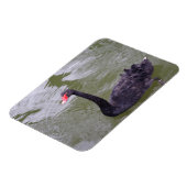 Schwarzer Schwanz-3"x4"-Magnet Magnet (Linke Seite)