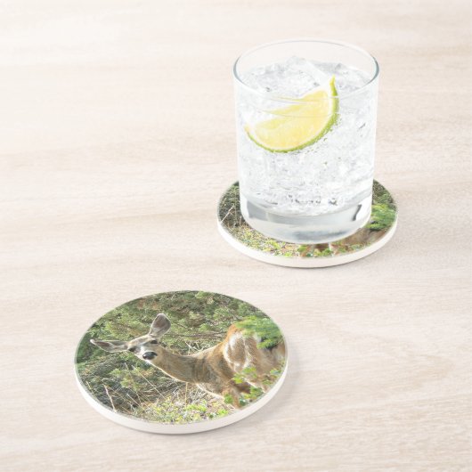 Schwarzer Schwanz-Rotwild-Untersetzer Untersetzer (Seite)