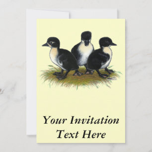 Schwarzer Schwedischer Ducklings Einladung