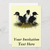 Schwarzer Schwedischer Ducklings Einladung (Vorne/Hinten)