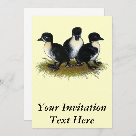 Schwarzer Schwedischer Ducklings Einladung (Vorne/Hinten)