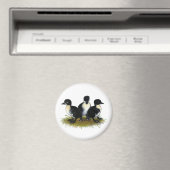 Schwarzer Schwedischer Ducklings Magnet (In Situ (Geschirrspüler))