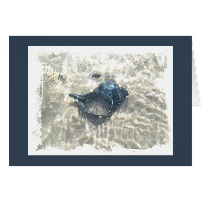 Schwarzer Seashell (Vorderseite (Horizontal))