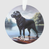Schwarzer See Ornament (Vorderseite)