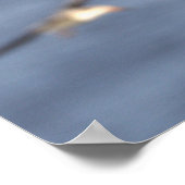 Schwarzer Skimmer Flying Poster (Ecke)