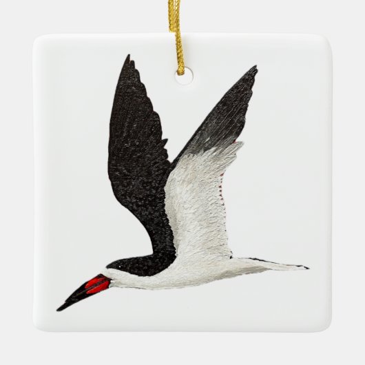 Schwarzer Skimmer Keramikornament (Vorderseite)