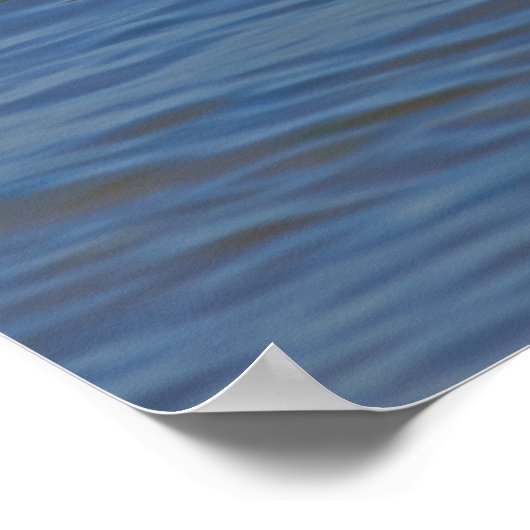 Schwarzer Skimmer Poster (Ecke)