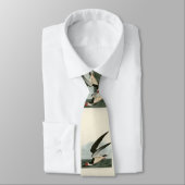 Schwarzer Skimmer, Schwarzwasser Audubon Vögel in Krawatte (Gebunden)