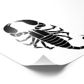 Schwarzer Skorpion Fotodruck (Ecke)