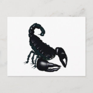 Schwarzer Skorpion Postkarte