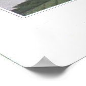 Schwarzer Snakerot; schwarzer Cohosh Poster (Ecke)