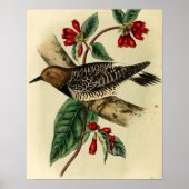 Schwarzer Specker Poster (Vorne)