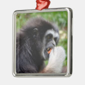 Schwarzer Spinnenaffe, der eine Frucht isst Ornament Aus Metall (Links)