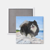 Schwarzer Spitz an der Küste Magnet (Vorderseite/Rückseite)