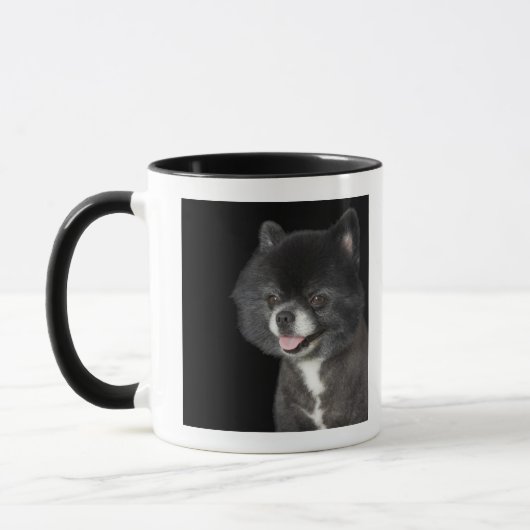 Schwarzer Spitz, der zu dem links schaut Tasse (Links)