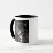 Schwarzer Spitz, der zu dem links schaut Tasse (Vorderseite Links)