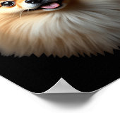 Schwarzer Spitz Dog Pom Gesicht Poster (Ecke)