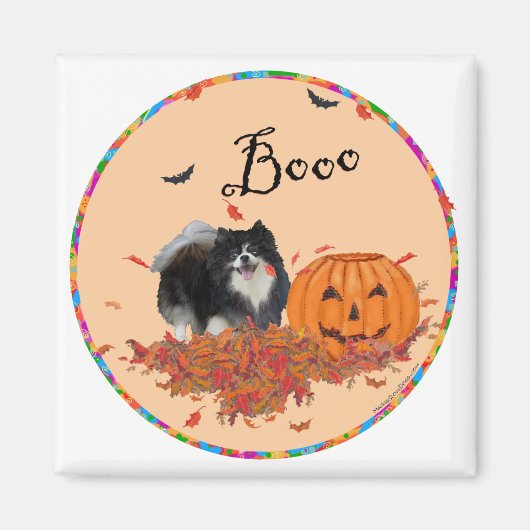 Schwarzer Spitz Halloween Magnet (Vorne)