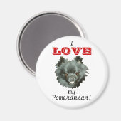 Schwarzer Spitz-I LIEBE mein Spitz! Magnet (Vorderseite/Rückseite)