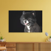 Schwarzer Spitz mit Blick auf das links Leinwanddruck (Insitu (Wohnzimmer))