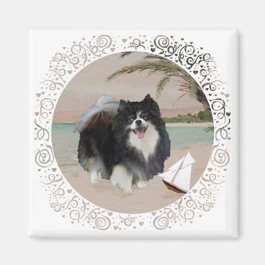 Schwarzer Spitz mit Sailboat Magnet (Vorne)