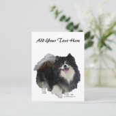 Schwarzer Spitz Postkarte (Stehend Vorderseite)