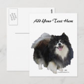 Schwarzer Spitz Postkarte (Vorne/Hinten)