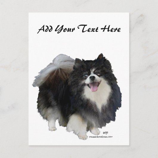 Schwarzer Spitz Postkarte (Vorderseite)