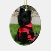 Schwarzer Spitz-Welpe, der Kamera betrachtet Keramik Ornament (Rechts)