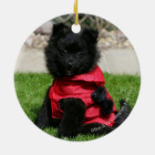 Schwarzer Spitz-Welpe, der Kamera betrachtet Keramik Ornament (Hinten)