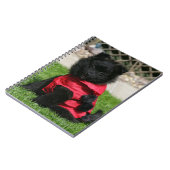 Schwarzer Spitz-Welpe, der Kamera betrachtet Notizblock (Linke Seite)