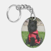 Schwarzer Spitz-Welpe, der Kamera betrachtet Schlüsselanhänger (Vorderseite links)