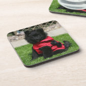 Schwarzer Spitz-Welpe, der Kamera betrachtet Untersetzer (Linke Seite)