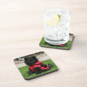 Schwarzer Spitz-Welpe, der Kamera betrachtet Untersetzer (Rechte Seite)