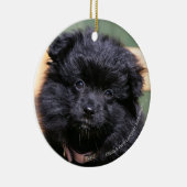 Schwarzer Spitz-Welpe Keramik Ornament (Rechts)