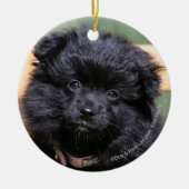 Schwarzer Spitz-Welpe Keramik Ornament (Vorne)