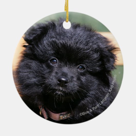 Schwarzer Spitz-Welpe Keramik Ornament (Hinten)