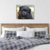 Schwarzer Spitz Welpe Leinwanddruck (Insitu (Schlafzimmer))