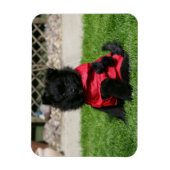 Schwarzer Spitz Welpe mit Kamera Magnet (Vertikal)