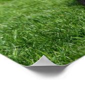 Schwarzer Spitz Welpe mit Kamera Poster (Ecke)