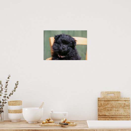 Schwarzer Spitz Welpe Poster (Küche)