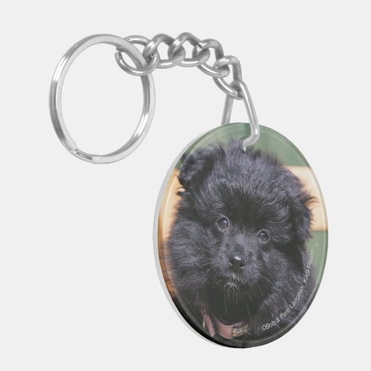 Schwarzer Spitz-Welpe Schlüsselanhänger (Vorderseite links)